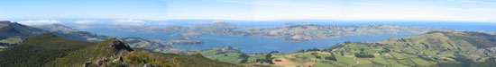Otago Harbour